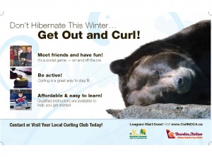 Don't Hibernate Poster